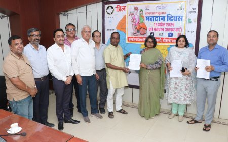 जिला निर्वाचन अधिकारी की पहल पर जिला उद्योग संघ का नवाचार