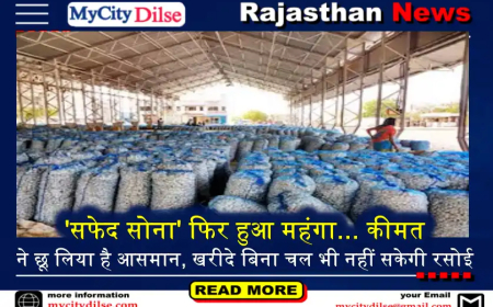 'सफेद सोना' फिर हुआ महंगा... कीमत ने छू लिया है आसमान, खरीदे बिना चल भी नहीं सकेगी रसोई