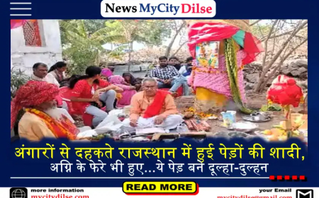 अंगारों से दहकते राजस्थान में हुई पेड़ों की शादी, अग्नि के फेरे भी हुए...ये पेड़ बने दूल्हा-दुल्हन