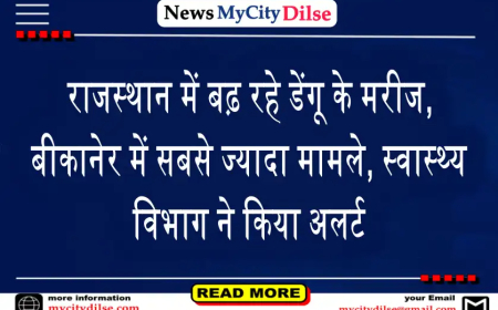 राजस्थान में बढ़ रहे डेंगू के मरीज, बीकानेर में सबसे ज्यादा मामले, स्वास्थ्य विभाग ने किया अलर्ट
