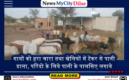 गायों को हरा चारा तथा खेलियों में टेंकर से पानी डाला, परिंदो क़े लिये पानी क़े पालसिए लगाये