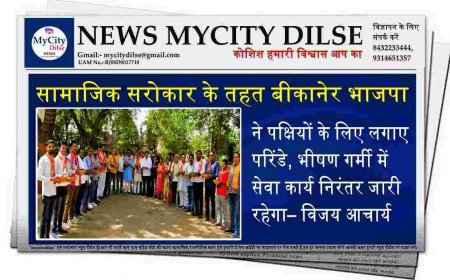 सामाजिक सरोकार के तहत बीकानेर भाजपा ने पक्षियों के लिए लगाए परिंडे, भीषण गर्मी में सेवा कार्य निरंतर जारी रहेगा– विजय आचार्य