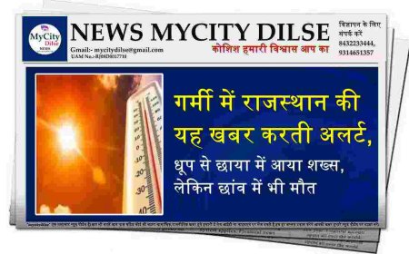 गर्मी में राजस्थान की यह खबर करती अलर्ट, धूप से छाया में आया शख्स, लेकिन छांव में भी मौत