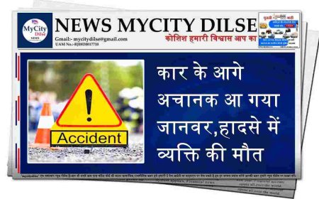कार के आगे अचानक आ गया जानवर,हादसे में व्यक्ति की मौत