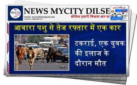 आवारा पशु से तेज रफ्तार में एक कार टकराई, एक युवक की इलाज के दौरान मौत