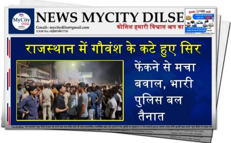 राजस्थान में गौवंश के कटे हुए सिर फेंकने से मचा बवाल, भारी पुलिस बल तैनात