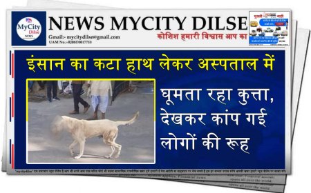 इंसान का कटा हाथ लेकर अस्पताल में घूमता रहा कुत्ता, देखकर कांप गई लोगों की रूह
