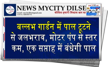 बीकानेर:बल्लभ गार्डन में पाल टूटने से जलभराव, मोटर पंप से स्तर कम, एक सप्ताह में बंधेगी पाल