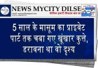 5 साल के मासूम का प्राइवेट पार्ट तक चबा गए खूंखार कुत्ते, डरावना था वो दृश्य
