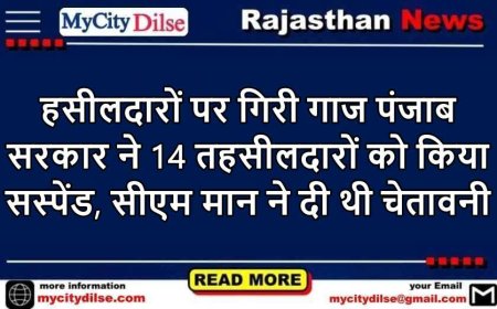 हसीलदारों पर गिरी गाज पंजाब सरकार ने 14 तहसीलदारों को किया सस्पेंड, सीएम मान ने दी थी चेतावनी