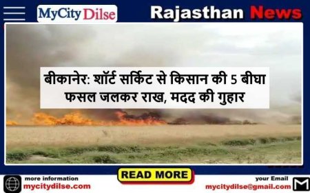 बीकानेर: शॉर्ट सर्किट से किसान की 5 बीघा फसल जलकर राख, मदद की गुहार