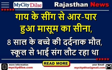 गाय के सींग से आर-पार हुआ मासूम का सीना, 8 साल के बच्चे की दर्दनाक मौत, स्कूल से भाई संग लौट रहा था