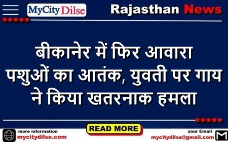 बीकानेर में फिर आवारा पशुओं का आतंक, युवती पर गाय ने किया खतरनाक हमला