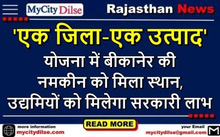 'एक जिला-एक उत्पाद' योजना में बीकानेर की नमकीन को मिला स्थान, उद्यमियों को मिलेगा सरकारी लाभ