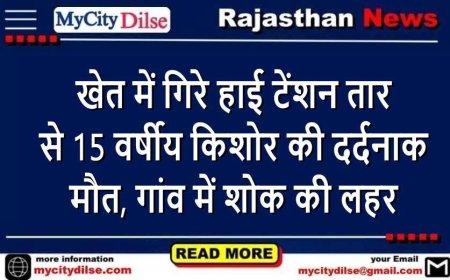 खेत में गिरे हाई टेंशन तार से 15 वर्षीय किशोर की दर्दनाक मौत, गांव में शोक की लहर