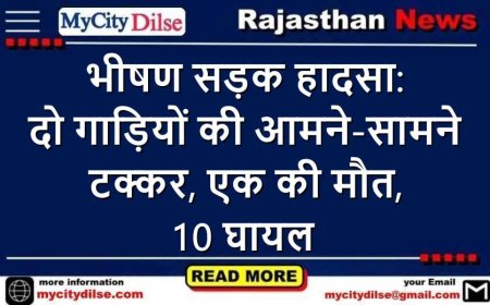 भीषण सड़क हादसा: दो गाड़ियों की आमने-सामने टक्कर, एक की मौत, 10 घायल