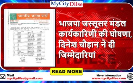 भाजपा जस्सूसर मंडल कार्यकारिणी की घोषणा, दिनेश चौहान ने दी जिम्मेदारियां