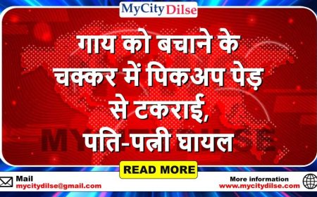 गाय को बचाने के चक्कर में पिकअप पेड़ से टकराई, पति-पत्नी घायल