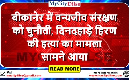बीकानेर में वन्यजीव संरक्षण को चुनौती, दिनदहाड़े हिरण की हत्या का मामला सामने आया