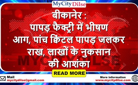 बीकानेर : पापड़ फैक्ट्री में भीषण आग, पांच क्विंटल पापड़ जलकर राख, लाखों के नुकसान की आशंका