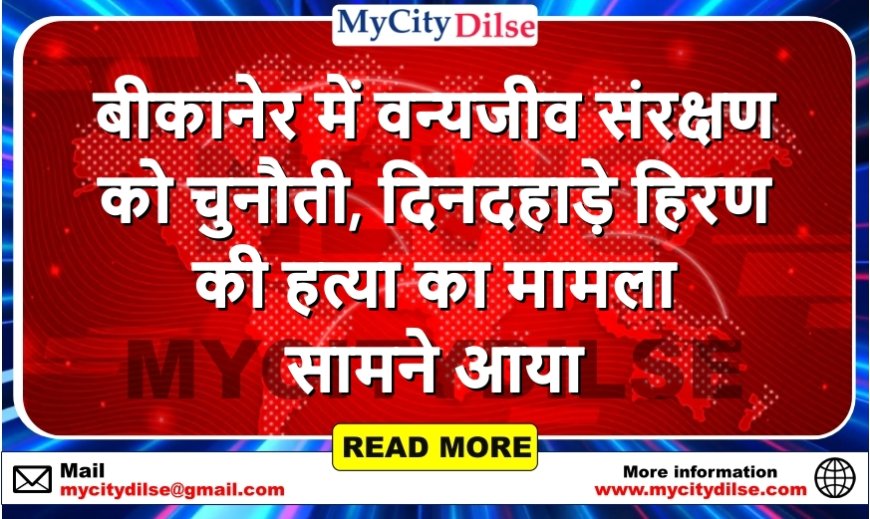 बीकानेर में वन्यजीव संरक्षण को चुनौती, दिनदहाड़े हिरण की हत्या का मामला सामने आया