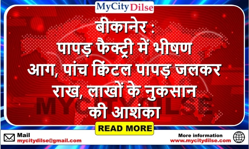 बीकानेर : पापड़ फैक्ट्री में भीषण आग, पांच क्विंटल पापड़ जलकर राख, लाखों के नुकसान की आशंका