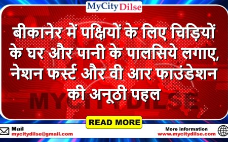 बीकानेर में पक्षियों के लिए चिड़ियों के घर और पानी के पालसिये लगाए, नेशन फर्स्ट और वी आर फाउंडेशन की अनूठी पहल