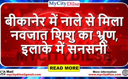 बीकानेर में नाले से मिला नवजात शिशु का भ्रूण, इलाके में सनसनी