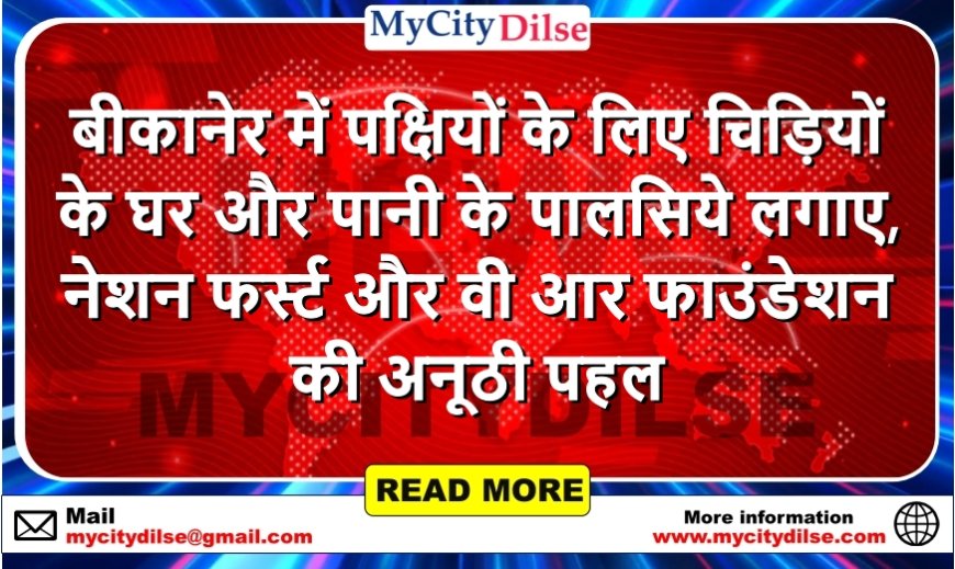 बीकानेर में पक्षियों के लिए चिड़ियों के घर और पानी के पालसिये लगाए, नेशन फर्स्ट और वी आर फाउंडेशन की अनूठी पहल