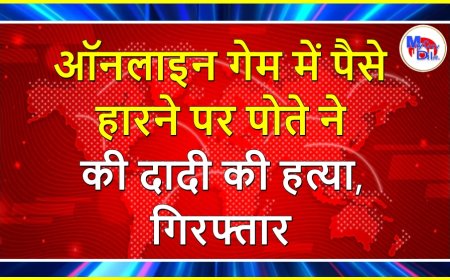 ऑनलाइन गेम में पैसे हारने पर पोते ने की दादी की हत्या, गिरफ्तार