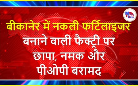 बीकानेर में नकली फर्टिलाइजर बनाने वाली फैक्ट्री पर छापा, नमक और पीओपी बरामद