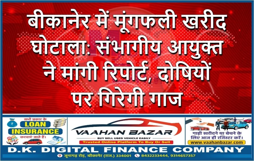 बीकानेर में मूंगफली खरीद घोटाला: संभागीय आयुक्त ने मांगी रिपोर्ट, दोषियों पर गिरेगी गाज