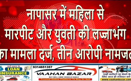 नापासर में महिला से मारपीट और युवती की लज्जाभंग का मामला दर्ज, तीन आरोपी नामजद
