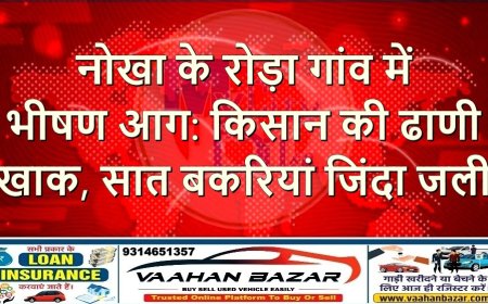 नोखा के रोड़ा गांव में भीषण आग: किसान की ढाणी खाक, सात बकरियां जिंदा जलीं