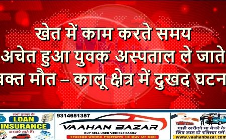 खेत में काम करते समय अचेत हुआ युवक, अस्पताल ले जाते वक्त मौत – कालू क्षेत्र में दुखद घटना