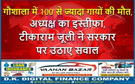 गौशाला में 100 से ज्यादा गायों की मौत, अध्यक्ष का इस्तीफा, टीकाराम जूली ने सरकार पर उठाए सवाल