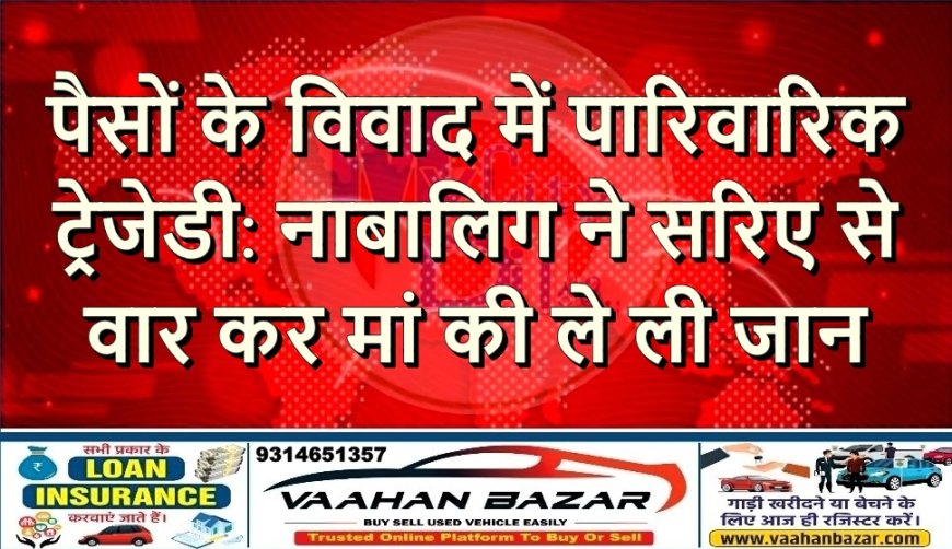 पैसों के विवाद में पारिवारिक ट्रेजेडी: नाबालिग ने सरिए से वार कर मां की ले ली जान