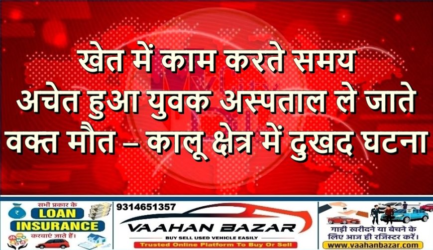 खेत में काम करते समय अचेत हुआ युवक, अस्पताल ले जाते वक्त मौत – कालू क्षेत्र में दुखद घटना